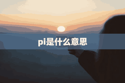 pi是什么意思